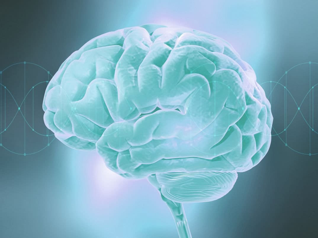 A digital illustration of a human brain glowing with a light blue hue against a gradient background.